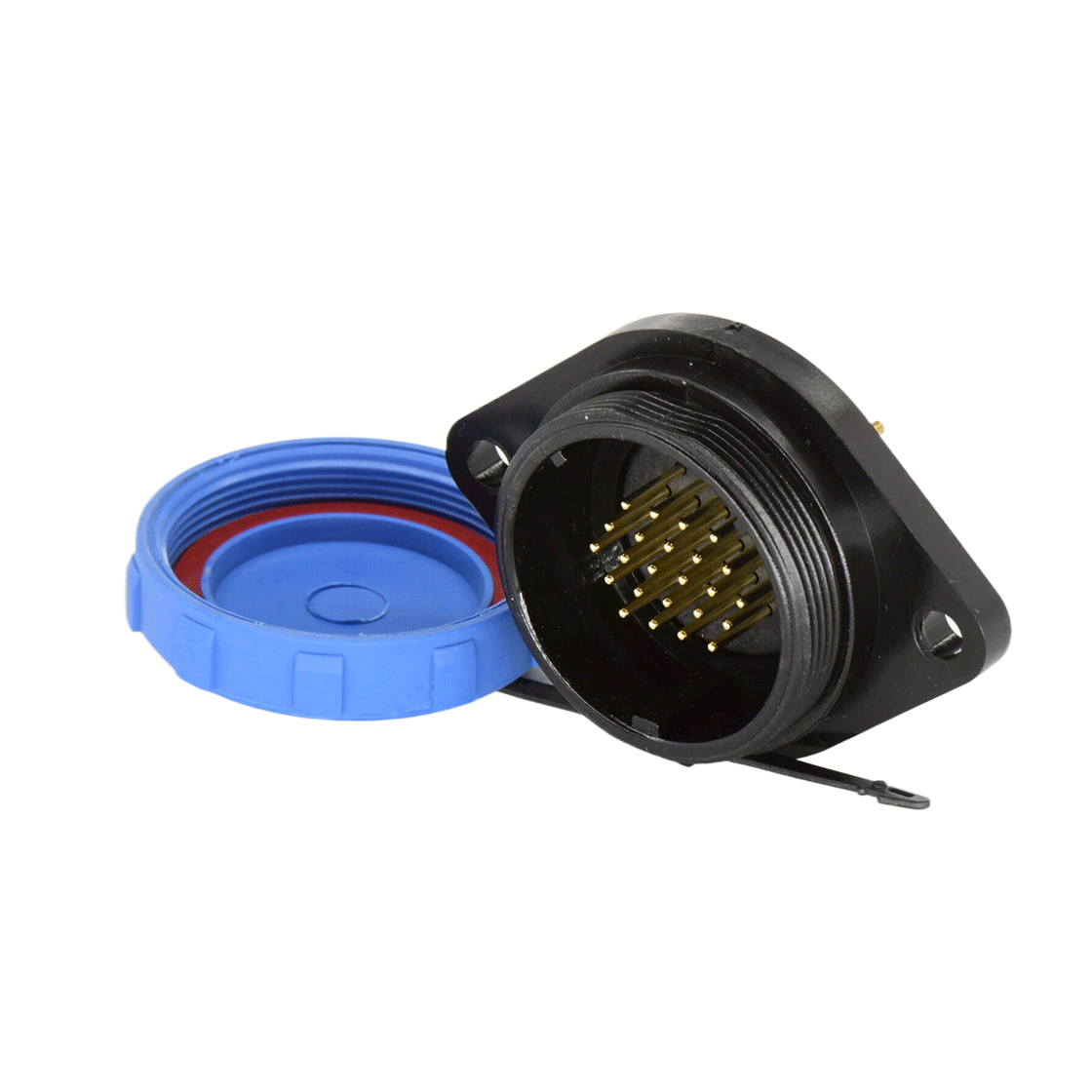 DP2913P2403.png